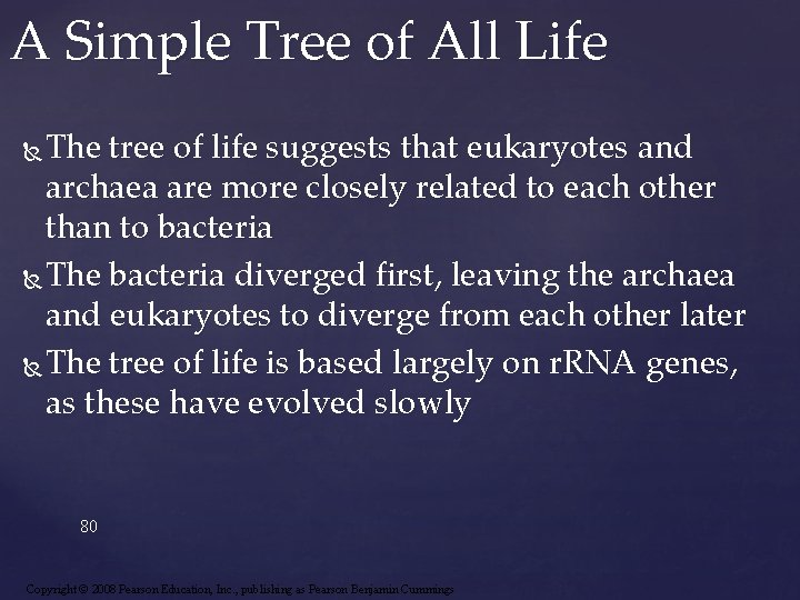 A Simple Tree of All Life The tree of life suggests that eukaryotes and