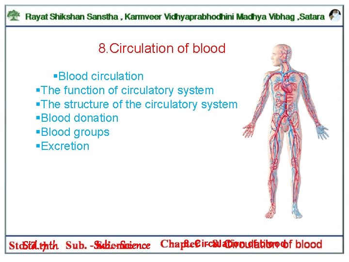 8. Circulation of blood §Blood circulation §The function of circulatory system §The structure of