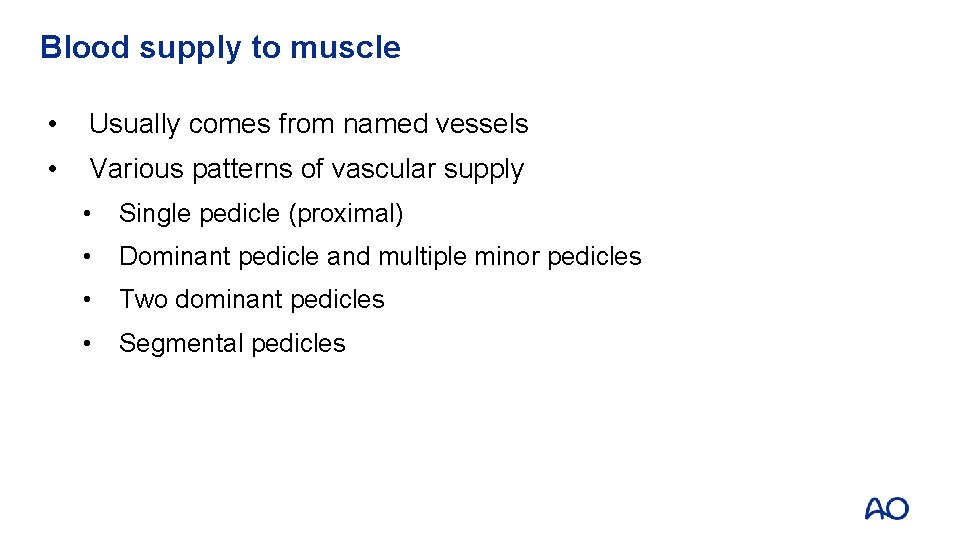 Blood supply to muscle • Usually comes from named vessels • Various patterns of
