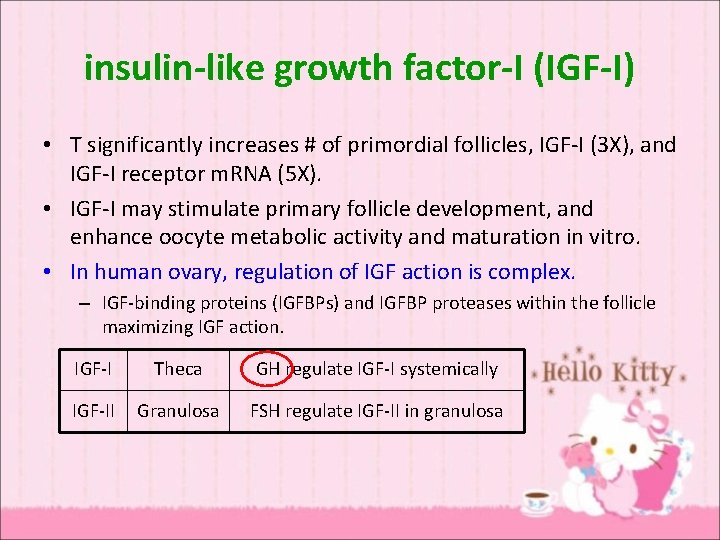 insulin-like growth factor-I (IGF-I) • T significantly increases # of primordial follicles, IGF-I (3