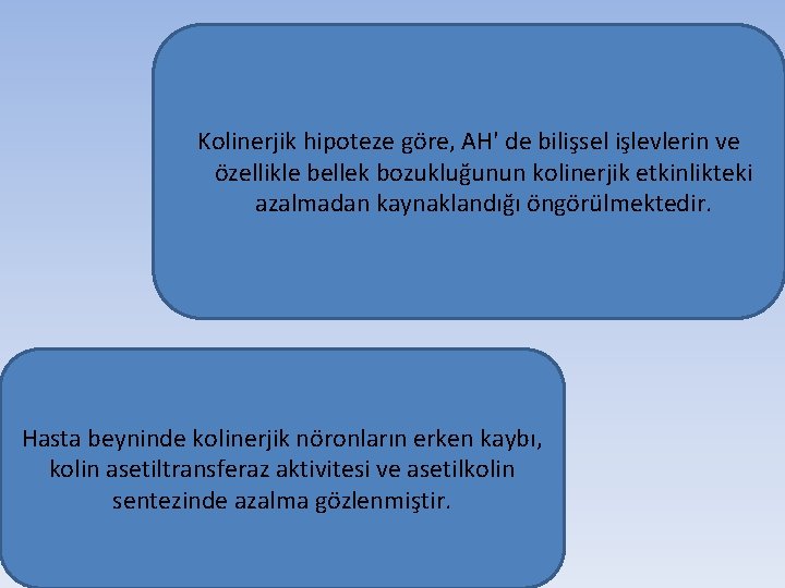 Kolinerjik hipoteze göre, AH' de bilişsel işlevlerin ve özellikle bellek bozukluğunun kolinerjik etkinlikteki azalmadan