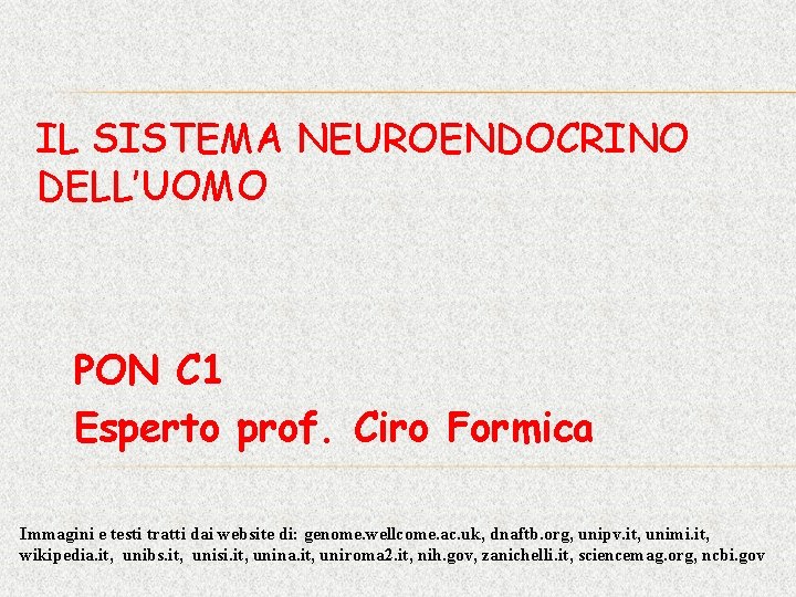 IL SISTEMA NEUROENDOCRINO DELL’UOMO PON C 1 Esperto prof. Ciro Formica Immagini e testi