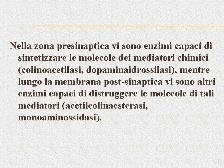 Nella zona presinaptica vi sono enzimi capaci di sintetizzare le molecole dei mediatori chimici