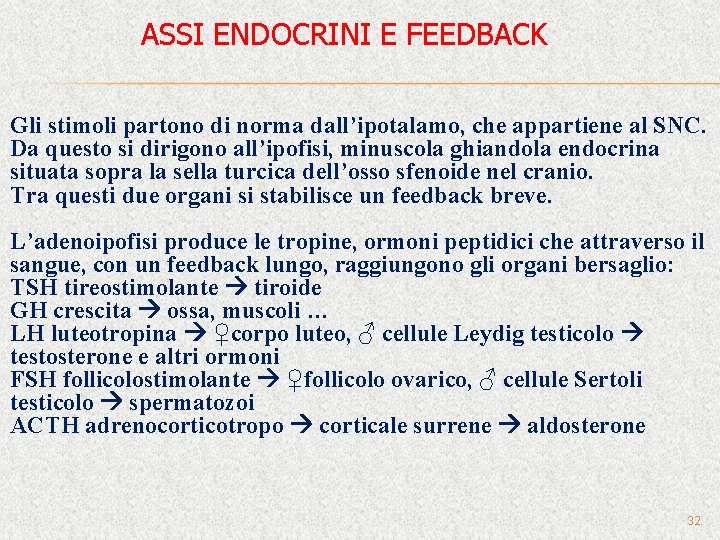 ASSI ENDOCRINI E FEEDBACK Gli stimoli partono di norma dall’ipotalamo, che appartiene al SNC.