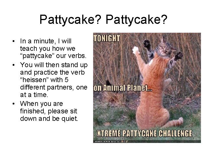 Pattycake? • In a minute, I will teach you how we “pattycake” our verbs.