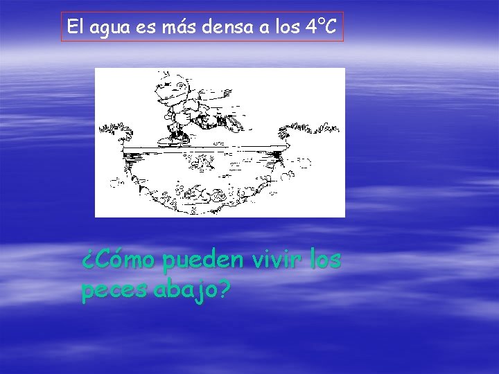 El agua es más densa a los 4°C ¿Cómo pueden vivir los peces abajo?