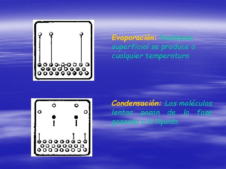 Evaporación: fenómeno superficial se produce a cualquier temperatura Condensación: Las moléculas lentas pasan de