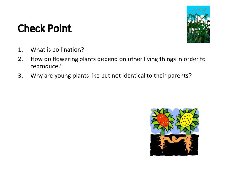 Check Point 1. 2. 3. What is pollination? How do flowering plants depend on