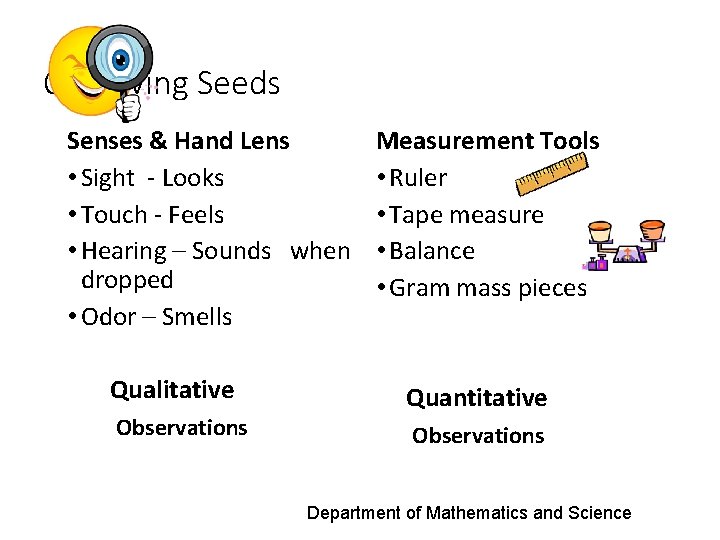 Observing Seeds Senses & Hand Lens • Sight - Looks • Touch - Feels