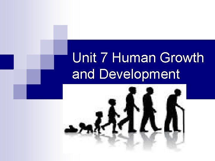 Unit 7 Human Growth and Development 