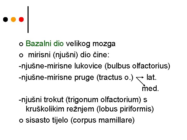 Bazalni dio velikog mozga ¢ mirisni (njušni) dio čine: -njušne-mirisne lukovice (bulbus olfactorius) -njušne-mirisne