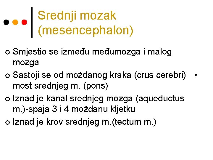 Srednji mozak (mesencephalon) Smjestio se izmeđumozga i malog mozga ¢ Sastoji se od moždanog