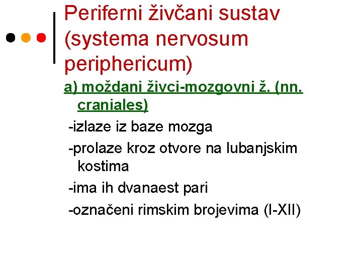 Periferni živčani sustav (systema nervosum periphericum) a) moždani živci-mozgovni ž. (nn. craniales) -izlaze iz