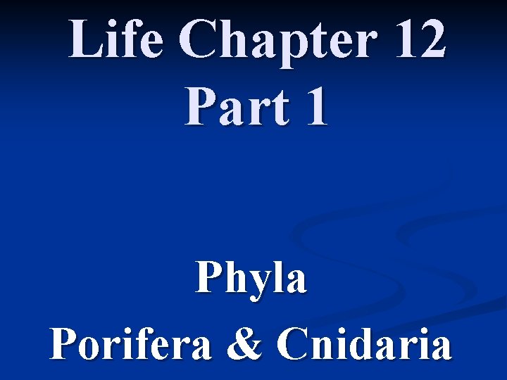 Life Chapter 12 Part 1 Phyla Porifera & Cnidaria 