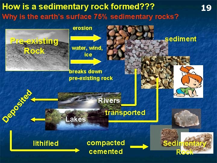 How is a sedimentary rock formed? ? ? Why is the earth’s surface 75% How is a sedimentary rock formed? ? ? Why is the earth’s surface 75%