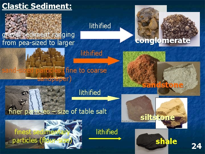 Clastic Sediment: lithified gravel sediment ranging from pea-sized to larger conglomerate lithified sand-sized particles Clastic Sediment: lithified gravel sediment ranging from pea-sized to larger conglomerate lithified sand-sized particles