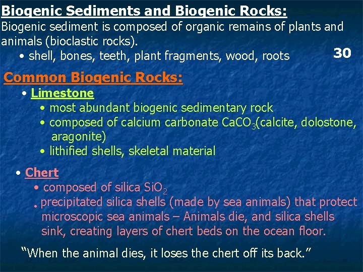 Biogenic Sediments and Biogenic Rocks: Biogenic sediment is composed of organic remains of plants Biogenic Sediments and Biogenic Rocks: Biogenic sediment is composed of organic remains of plants