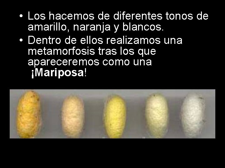  • Los hacemos de diferentes tonos de amarillo, naranja y blancos. • Dentro