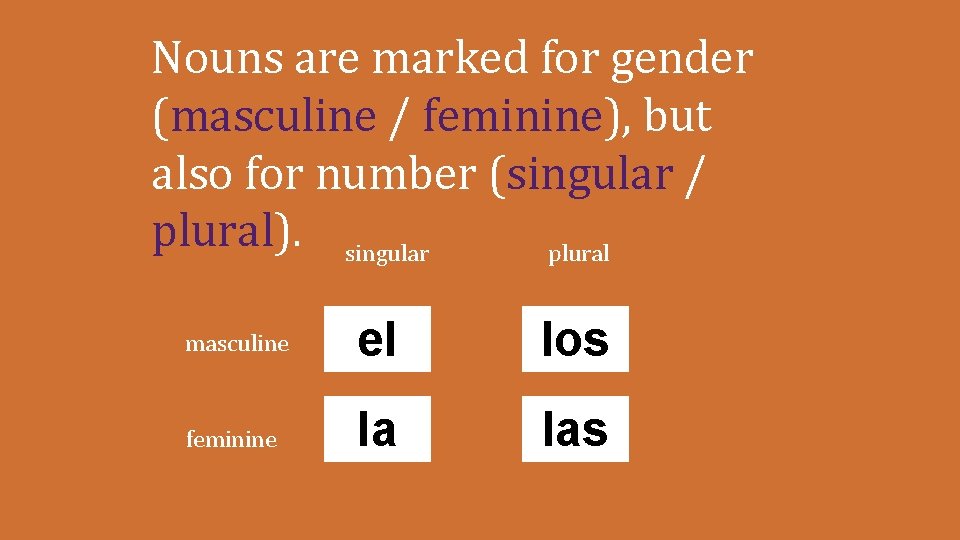 Nouns are marked for gender (masculine / feminine), but also for number (singular /