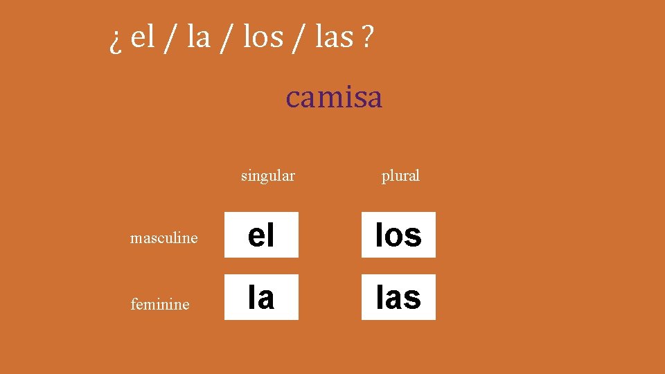 ¿ el / la / los / las ? camisa singular plural masculine el