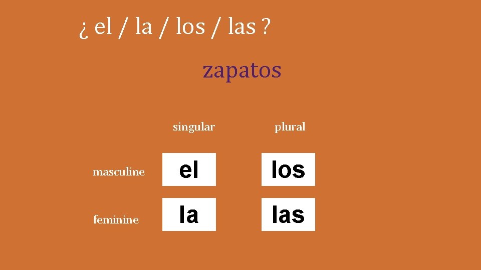 ¿ el / la / los / las ? zapatos singular plural masculine el