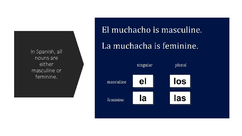 In Spanish, all nouns are either masculine or feminine. 