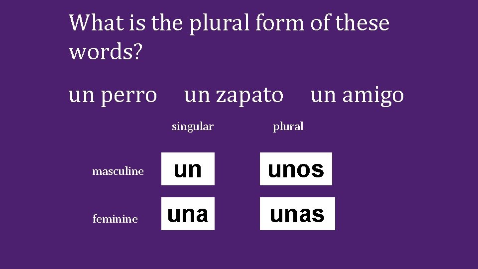 What is the plural form of these words? un perro un zapato singular un What is the plural form of these words? un perro un zapato singular un