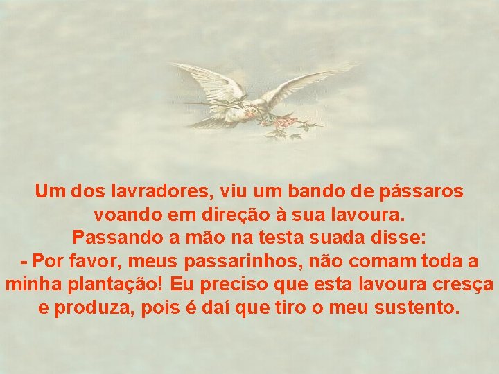 Um dos lavradores, viu um bando de pássaros voando em direção à sua lavoura.