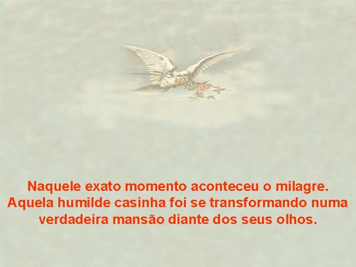 Naquele exato momento aconteceu o milagre. Aquela humilde casinha foi se transformando numa verdadeira