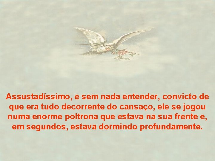 Assustadíssimo, e sem nada entender, convicto de que era tudo decorrente do cansaço, ele