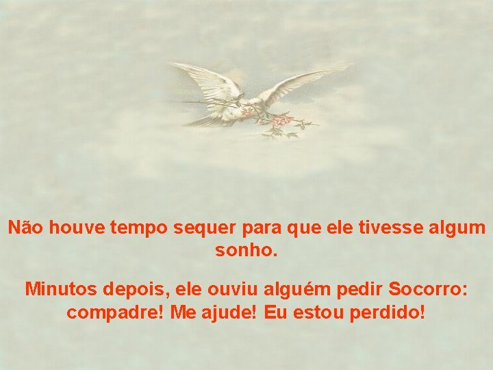 Não houve tempo sequer para que ele tivesse algum sonho. Minutos depois, ele ouviu