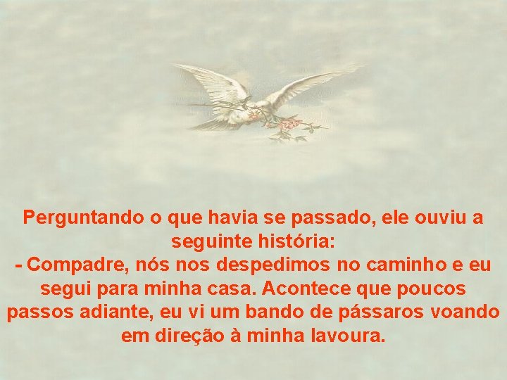 Perguntando o que havia se passado, ele ouviu a seguinte história: - Compadre, nós