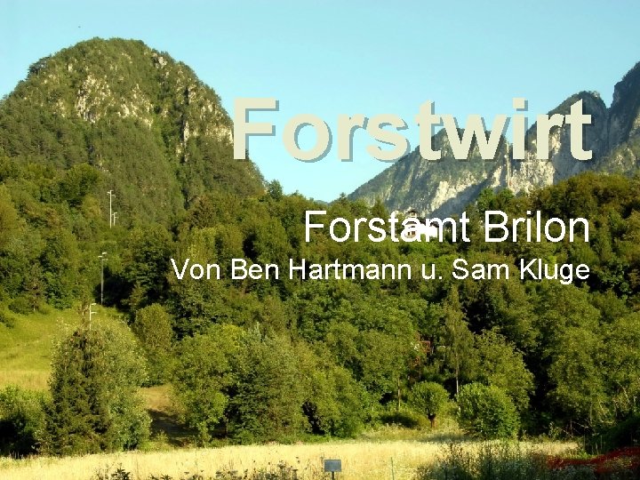 Forstwirt Forstamt Brilon Von Ben Hartmann u. Sam Kluge 