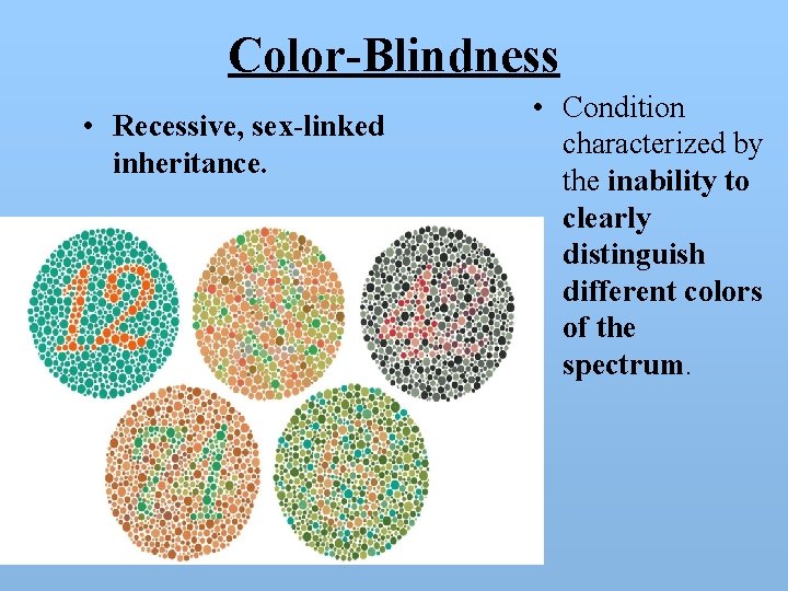 Color-Blindness • Recessive, sex-linked inheritance. • Condition characterized by the inability to clearly distinguish