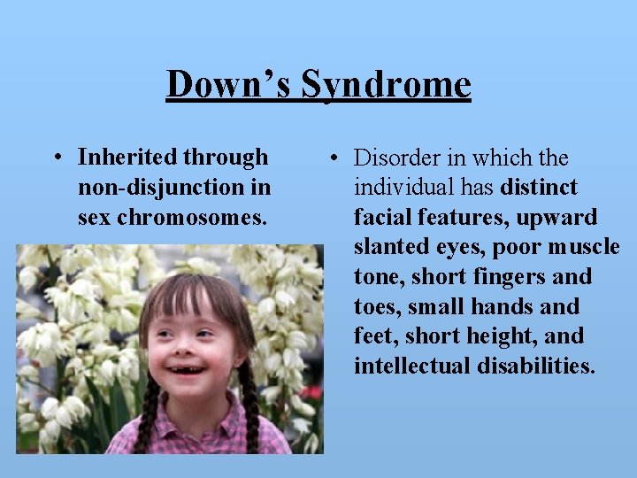 Down’s Syndrome • Inherited through non-disjunction in sex chromosomes. • Disorder in which the
