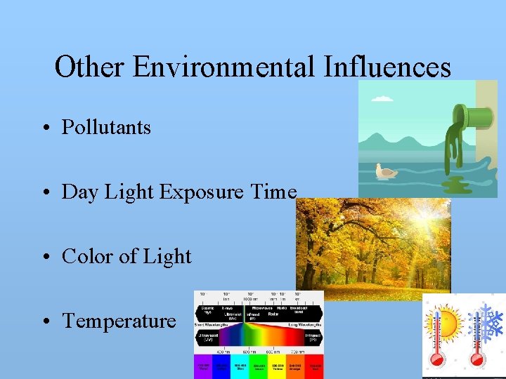 Other Environmental Influences • Pollutants • Day Light Exposure Time • Color of Light