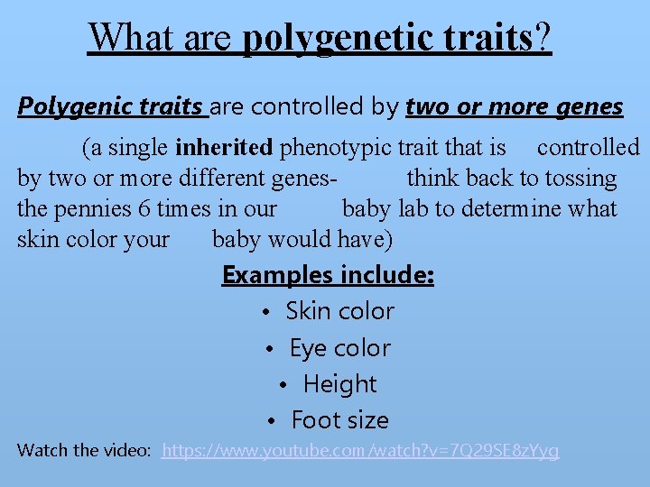 What are polygenetic traits? Polygenic traits are controlled by two or more genes (a