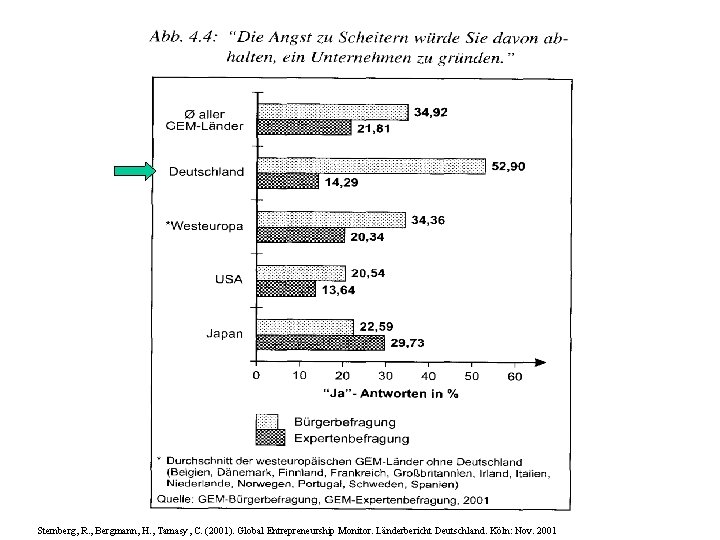 Sternberg, R. , Bergmann, H. , Tamasy, C. (2001). Global Entrepreneurship Monitor. Länderbericht Deutschland.