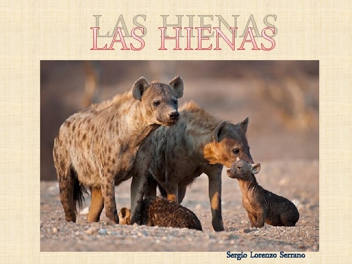 LAS HIENAS Sergio Lorenzo Serrano 