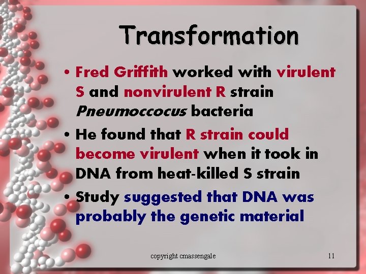 Transformation • Fred Griffith worked with virulent S and nonvirulent R strain Pneumoccocus bacteria