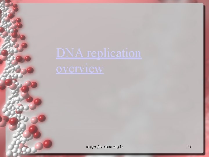 DNA replication overview copyright cmassengale 15 