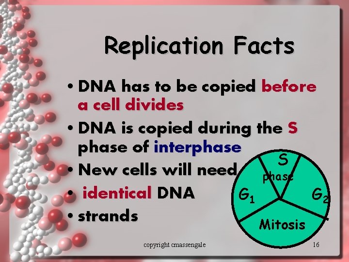 Replication Facts • DNA has to be copied before a cell divides • DNA