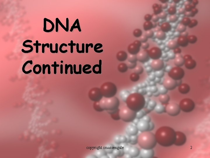 DNA Structure Continued copyright cmassengale 2 