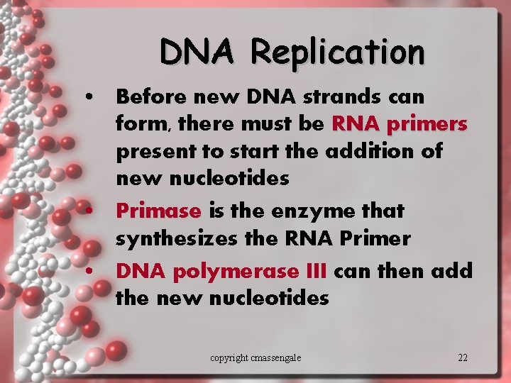 DNA Replication • Before new DNA strands can form, there must be RNA primers