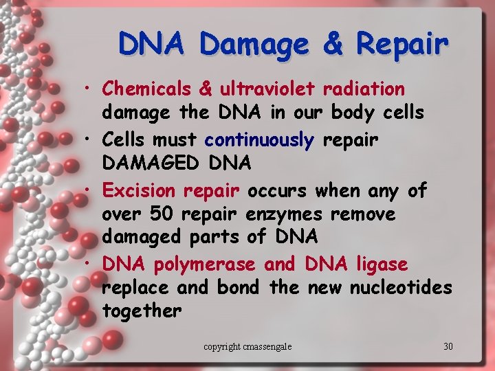 DNA Damage & Repair • Chemicals & ultraviolet radiation damage the DNA in our