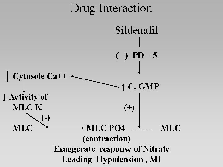 Drug Interaction Sildenafil ( ) PD – 5 Cytosole Ca++ ↑ C. GMP ↓