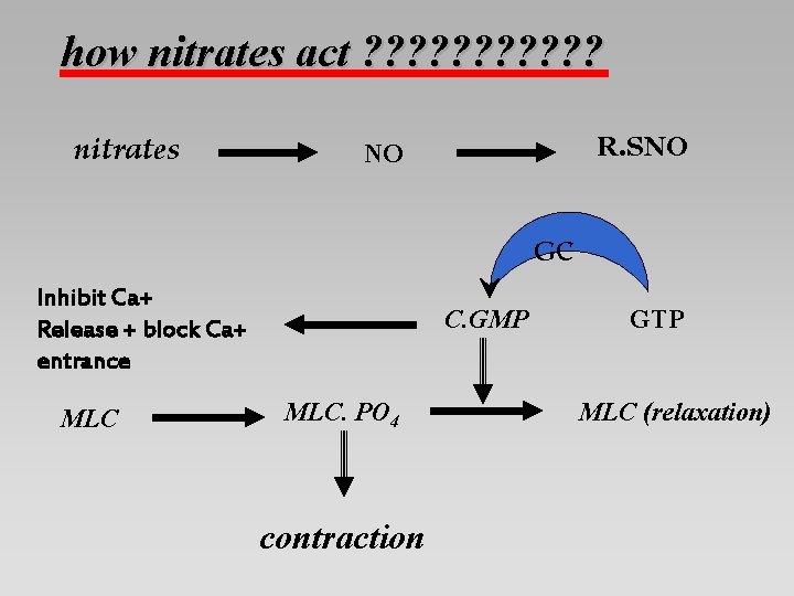 how nitrates act ? ? ? nitrates R. SNO NO GC Inhibit Ca+ Release