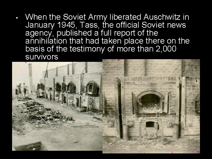  • When the Soviet Army liberated Auschwitz in January 1945, Tass, the official