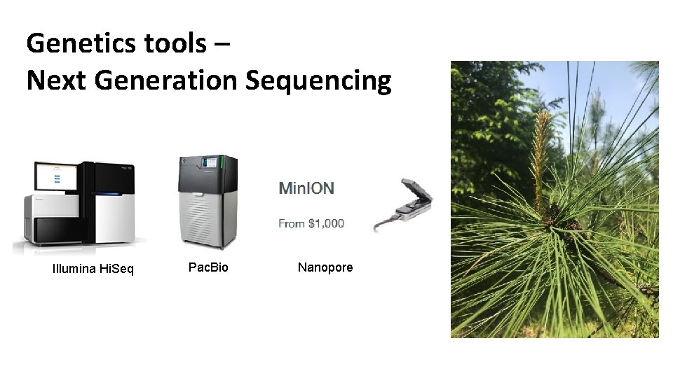 Genetics tools – Next Generation Sequencing Illumina Hi. Seq Pac. Bio Nanopore 