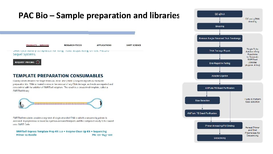 PAC Bio – Sample preparation and libraries 